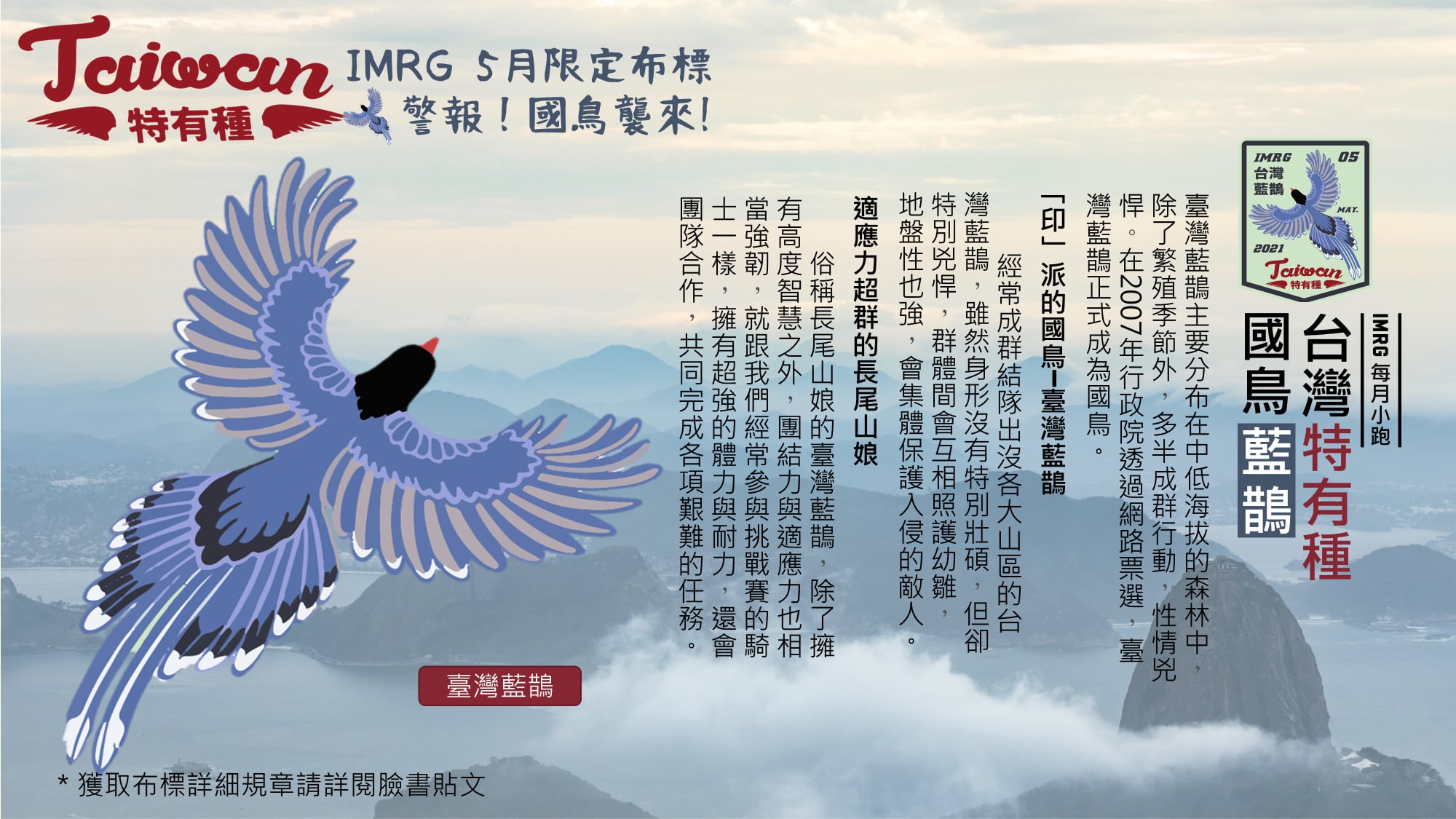 [ 每月小跑 ] 2021 印地安台灣特有種 - 5月主題台灣藍鵲