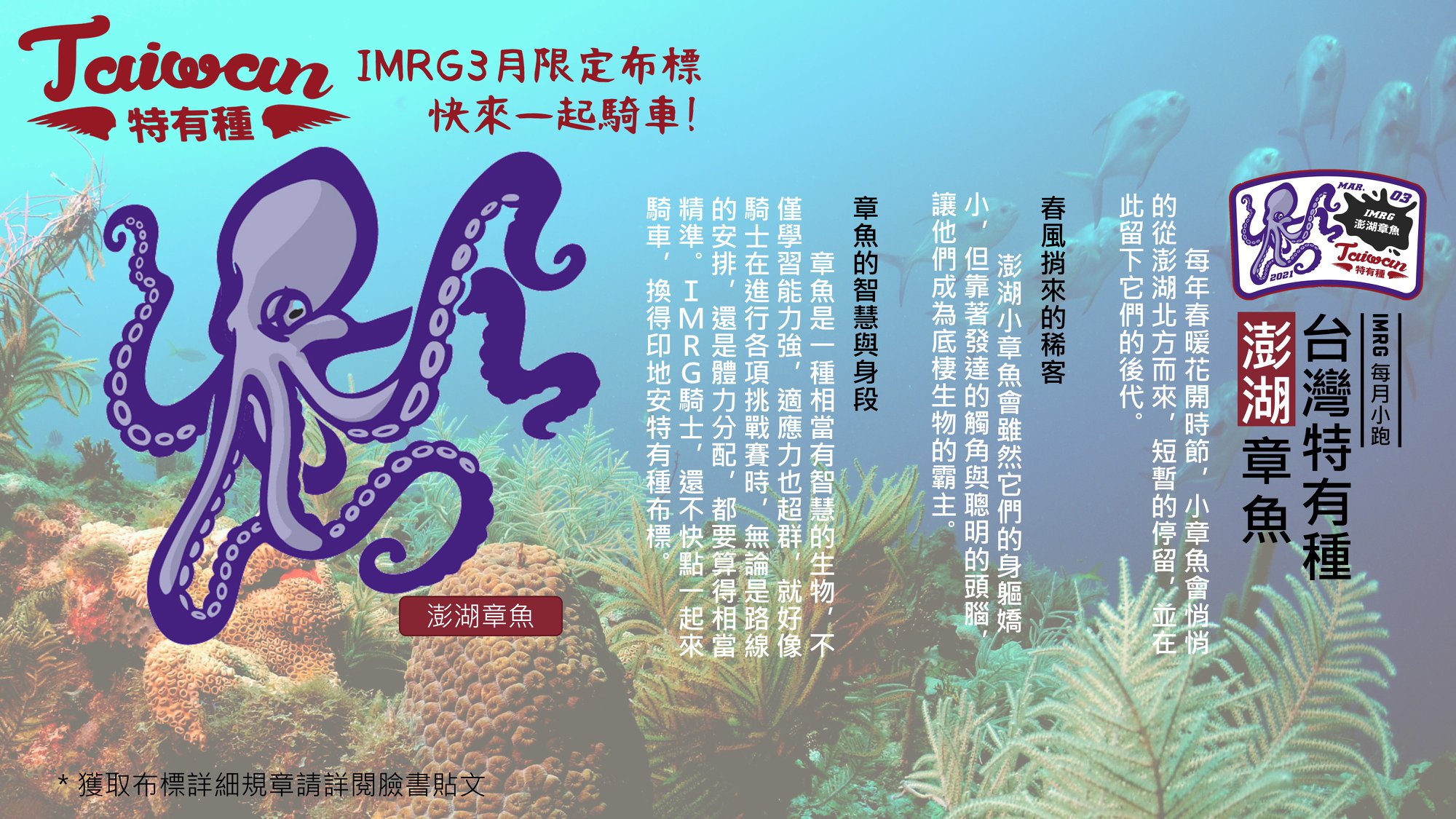 [ 每月小跑 ] 2021 印地安台灣特有種 - 3月主題澎湖章魚